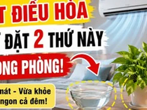 Trước khi bật điều hòa, người khéo thường đặt thêm 2 thứ này trong phòng: Vừa dễ ngủ vừa đỡ khô da