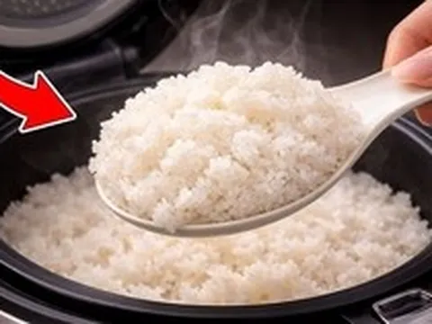 Nấu cơm đừng chỉ cho nước, nhớ thêm vài giọt này: Hạt cơm bóng dẻo, thơm ngon, để lâu không thiu