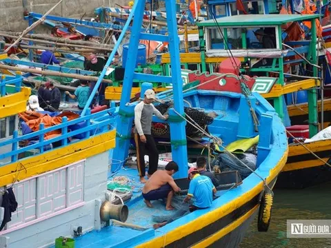"Khoác áo" nhận diện cho tàu cá, Lâm Đồng hướng tới phát triển bền vững nghề cá