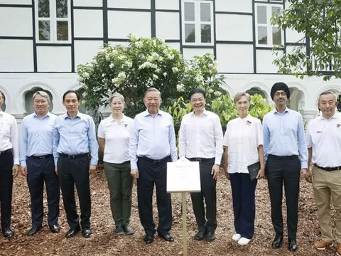 Tổng Bí thư, Chủ tịch nước Tô Lâm trồng cây tại Vườn Bách thảo Singapore