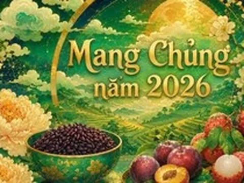 Mang Chủng là gì?