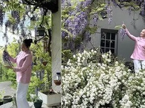 Mỹ nhân bỏ hết hào quang showbiz, lui về ở ẩn: Tận hưởng bình yên trong nhà vườn 4.000m2 đẹp như tranh