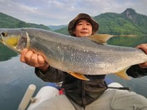 "Cọp nước" khét tiếng vùng Đà Giang: Hung dữ không loài nào sánh bằng