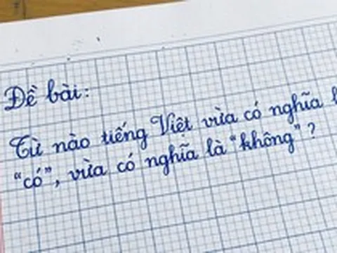 Trong tiếng Việt có một từ vừa là có vừa là không