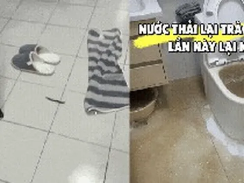 Tôi thà mua căn hộ tầng 4, 14 hay 18 còn hơn chọn 3 tầng này: Chuyển vào ở mới thấy “ác mộng” bắt đầu