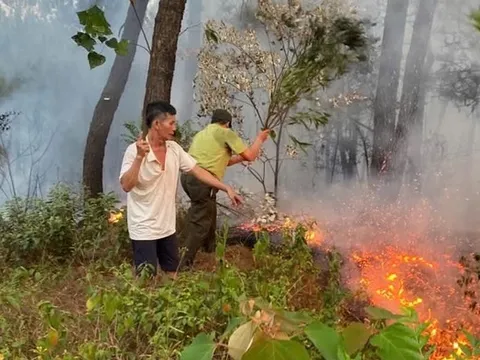 Hơn 20 ha rừng và thực bì bị cháy ở Huế, kiểm lâm căng mình ứng phó nắng nóng