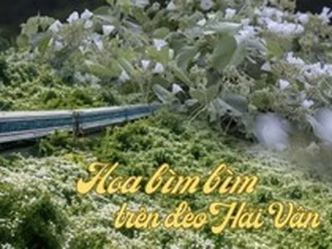 Việt Nam có cung đường đang xảy ra hiện tượng "tuyết mùa hè" phủ trắng đèo đẹp như phim