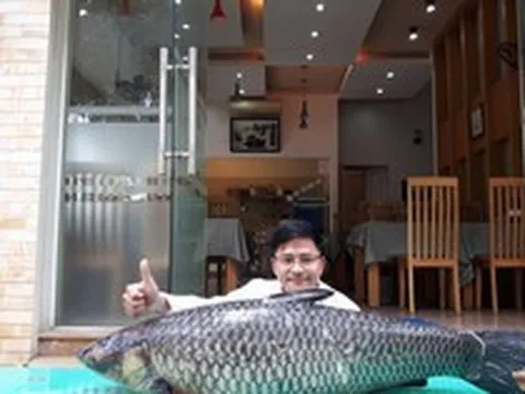 "Thủy quái" sông Đà và bí mật phía sau kích thước khổng lồ
