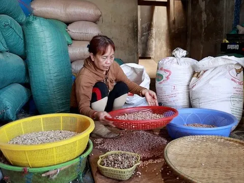 Giữ lửa nghề sản xuất "giọt vàng" ở Quảng Ngãi