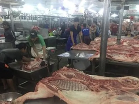 Giá heo hơi hôm nay, 10-6: Thịt heo chợ đầu mối giảm đến 10 giá