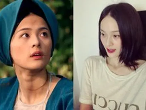 Bí ẩn về Hạ Vi