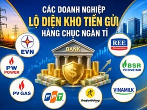 Không riêng EVN, nhiều "ông lớn" cũng có hàng chục ngàn tỉ đồng gửi ngân hàng