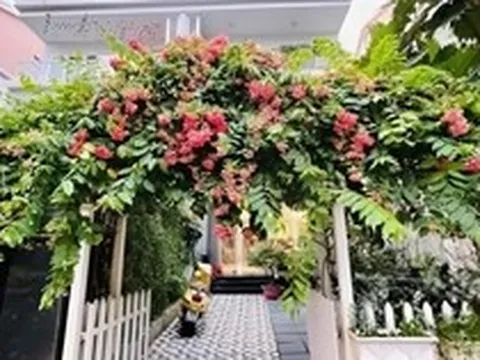 Nữ diễn viên cả đời đóng vai phản diện: U50 không muốn lấy chồng, một mình nuôi con trong biệt thự 4 tầng ở Sài thành