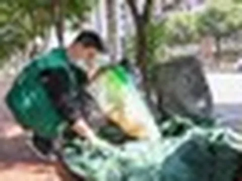 Phát hiện 1 chuyên viên phân tích tài chính bỏ việc kiếm hơn 77 triệu đồng/tháng nhờ thu mua phế liệu