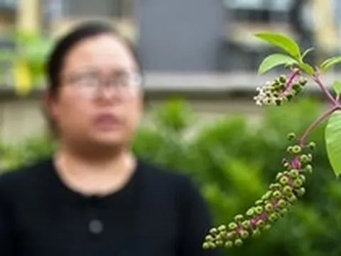 Triệt phá đường dây mua bán thông tin học sinh, hơn 790.000 hồ sơ bị lộ sau mùa thi