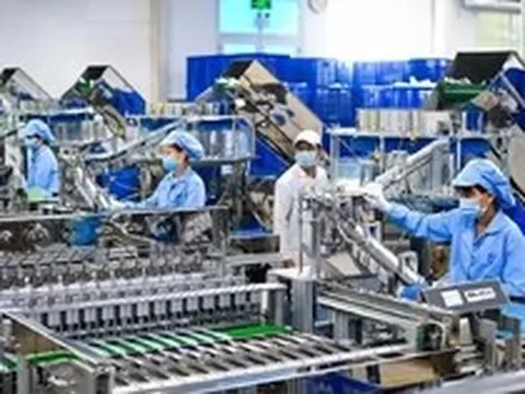 Thu hút vốn FDI: Không thể chỉ trông chờ 'đại bàng' đến làm tổ