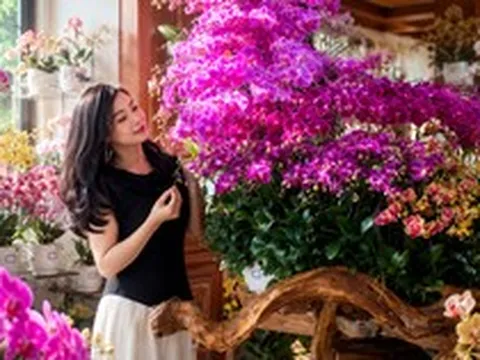 Người phụ nữ gây sốt với “phòng khách hoa lan” hơn 1.000 chậu: Không gian ngập sắc hoa khiến ai nhìn cũng muốn ngắm mãi