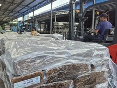 VRG: Giá cao su có thể vọt lên 3.300 USD/tấn vào năm 2030