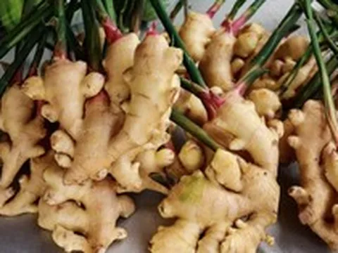 Nhiều người Việt dùng hàng ngày nhưng chưa biết: Loại gia vị này có thể mang lại nhiều lợi ích hơn tưởng tượng