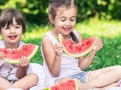 Mùa picnic đến rồi: Tránh ngay 6 sai lầm khiến thực phẩm nhanh biến thành "ổ vi khuẩn" dưới trời nắng nóng