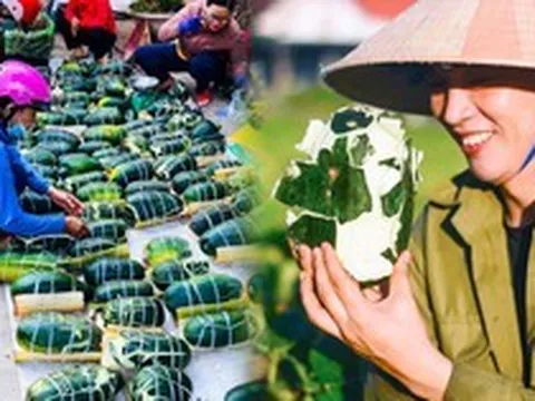 Đã tìm ra loại trái cây có nhiều tên nhất Việt Nam: Phải buộc dây mới giữ được hình, ruột bở như khoai
