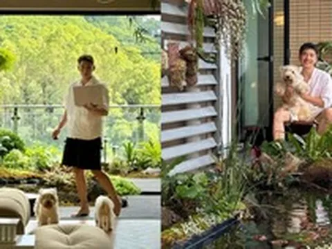 Hồ cá Koi trên ban công, cửa sổ view "4 mùa" của chàng trai lên núi xây nhà sống cùng 4 chú chó