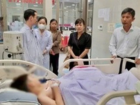 Vụ gần 300 người nghi ngộ độc bánh mì ở Đồng Tháp: Phát hiện vi khuẩn Salmonella