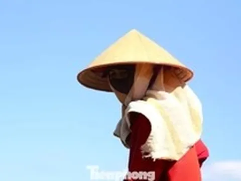 Cảnh người lao động ‘đốt sức’ giữa trời nắng đỉnh điểm