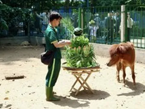 Nhiều người sẽ bất ngờ sau khuyến cáo của Thảo Cầm Viên Sài Gòn