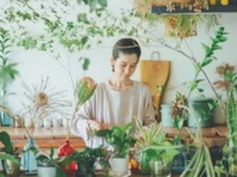 Người phụ nữ U40 biến căn bếp thành “khu vườn xanh” với hơn 30 loại cây: Mỗi sáng thức dậy đều thấy cuộc sống đáng yêu hơn