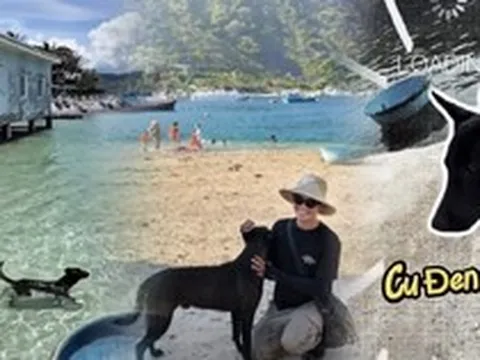 Có một "nhân viên" ai đến đảo Bích Đầm cũng muốn gặp: Da rám nắng, ngày nào cũng đi tuần bãi biển