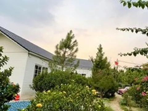 Nam nghệ sĩ Việt sở hữu nhà vườn rộng 1.000m²: Nhìn đâu cũng thấy hoa, góc nào cũng chill như tranh vẽ