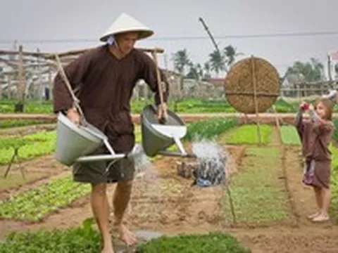 Việt Nam có ngôi làng khách Tây xếp hàng để được làm nông dân, bí quyết rau ngon nằm ở một loại "phân bón" lạ