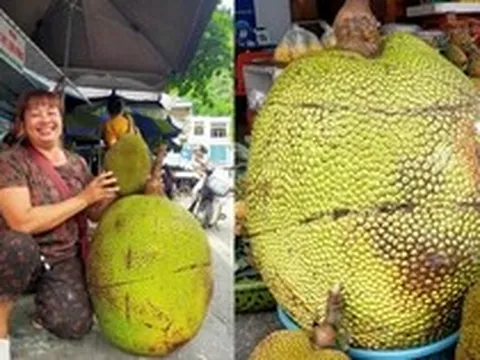 Quả mít khổng lồ nặng 53kg ở Lạng Sơn được bán với giá bất ngờ, ngỡ ngàng khi bổ ra