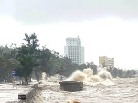 Bão số 1 áp sát, Hải Phòng và Quảng Ninh khẩn cấp cấm biển, sẵn sàng sơ tán dân