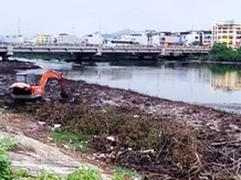 Đã chặt bỏ một phần dãy cây gây cản thoát lũ ở dự án hơn 593 tỉ đồng tại Nha Trang