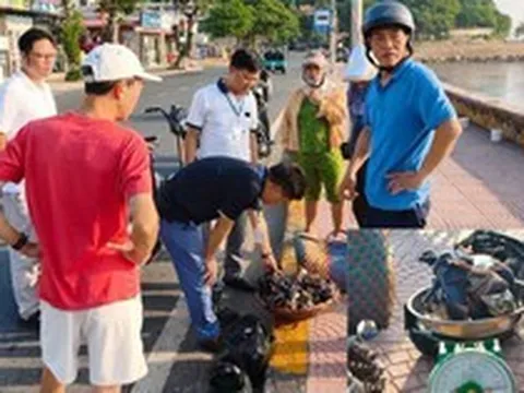Cùng một con cua bỏ lên 2 chiếc cân, kết quả chênh lệch bất ngờ: Người phụ nữ thừa nhận vi phạm