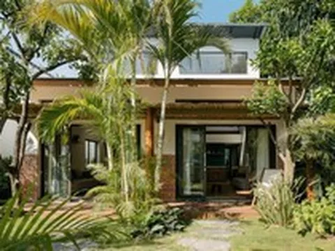 6 lý do vì sao gia đình nào cũng nên trồng cây cau trước cửa