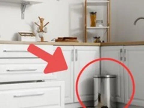 Đặt thùng rác ở đâu trong nhà để không "chặn" tài lộc? Vị trí nhiều gia đình hay để sai