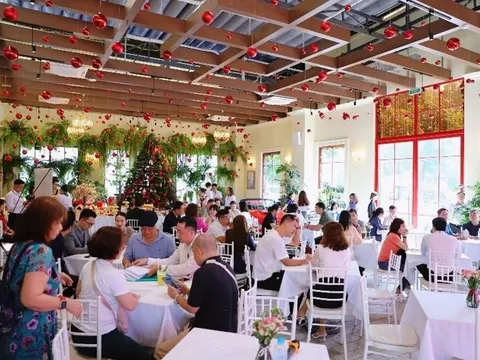 Novaland công bố BCTC quý IV/2024: Nhiều nỗ lực trong hoạt động kinh doanh
